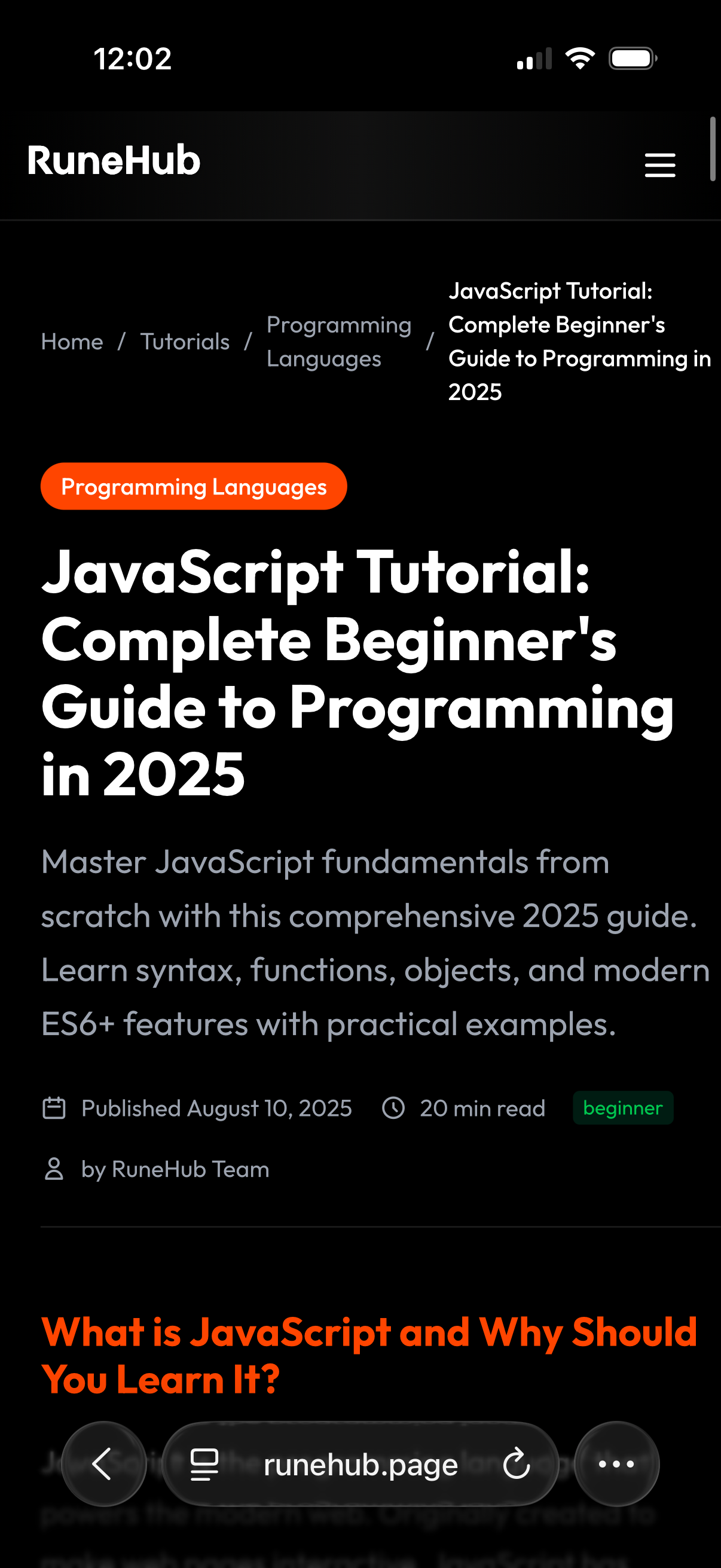 RuneHub Mobile View 2